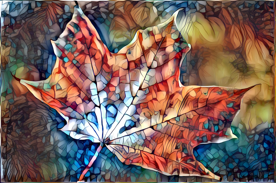 Maple Leaf, Fractured