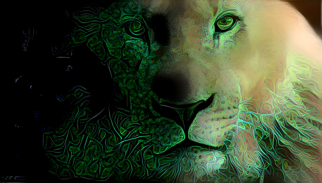 Into the Maze (Lion Series 9)