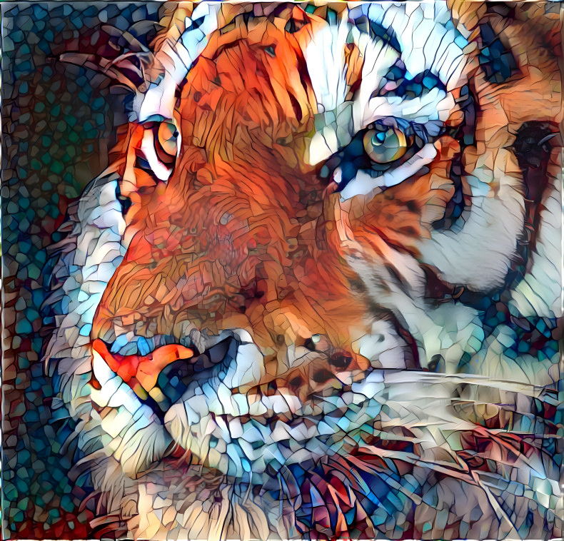 Tiger, Fractured