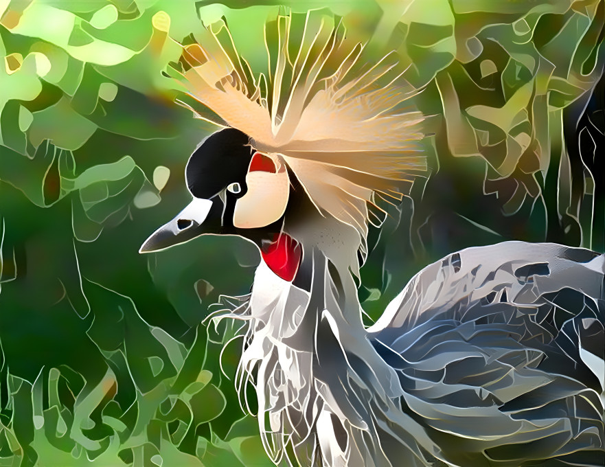 Crowned Crane