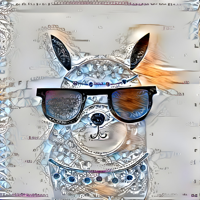 Cool llama