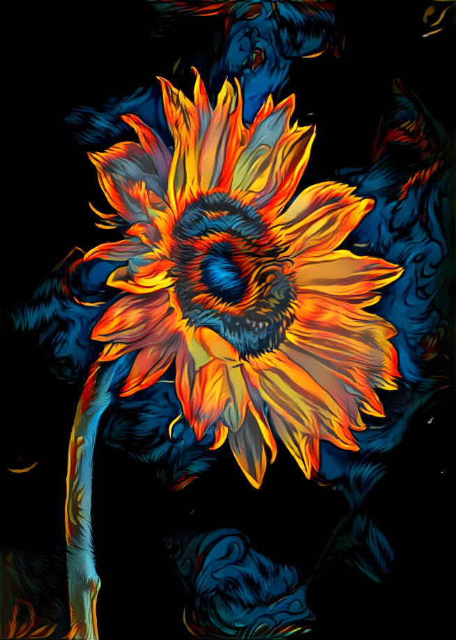 Sunfireflower