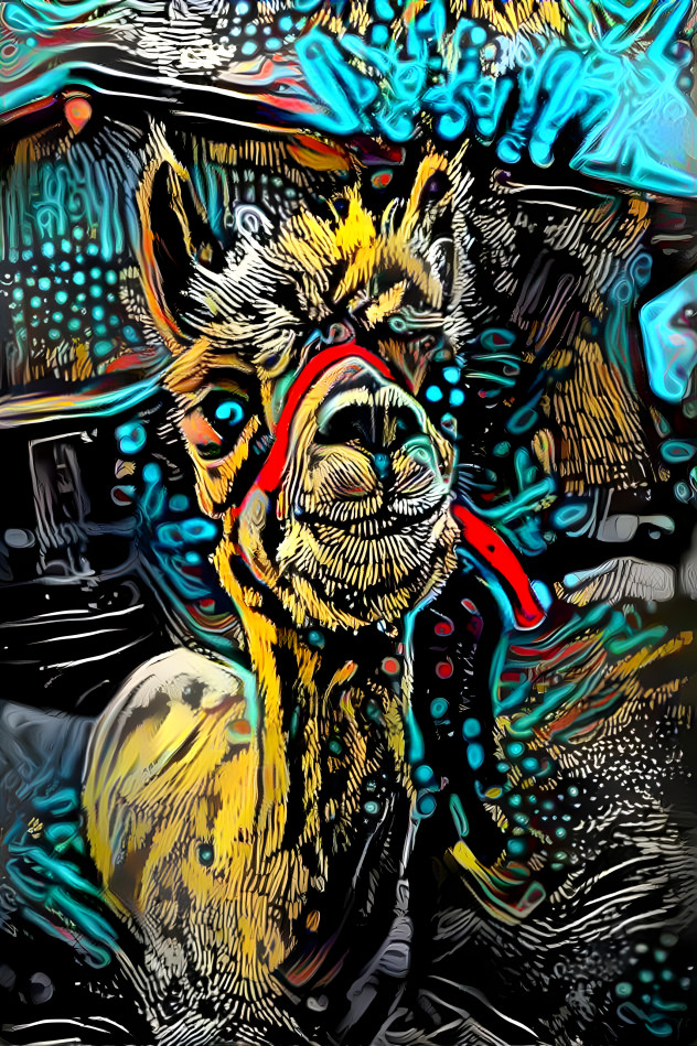 Llama