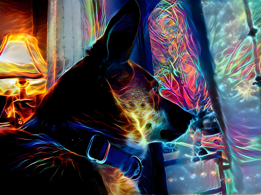 Cosmic Canine