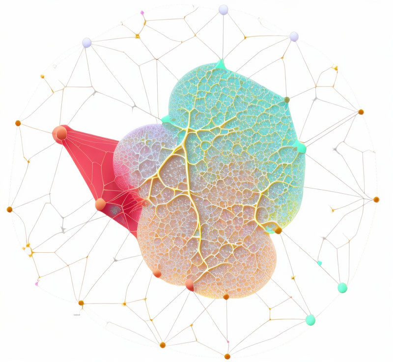 Colorful interconnected nodes and patterns on white background.