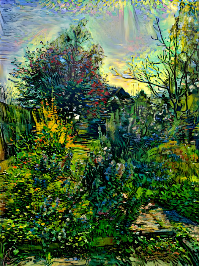 Vincent's backyard