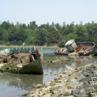 Beached sailboats on shore with trees and cloudy sky