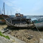 Maritime painting with beached boats, wildflowers, and sailing ships