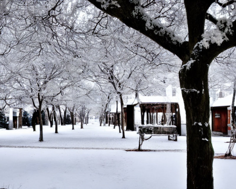 Snow-covered park with bare trees, wooden bench, small cabins.