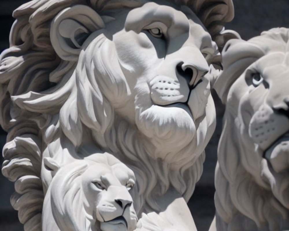 Sculpted white stone lions in varying sizes and detail