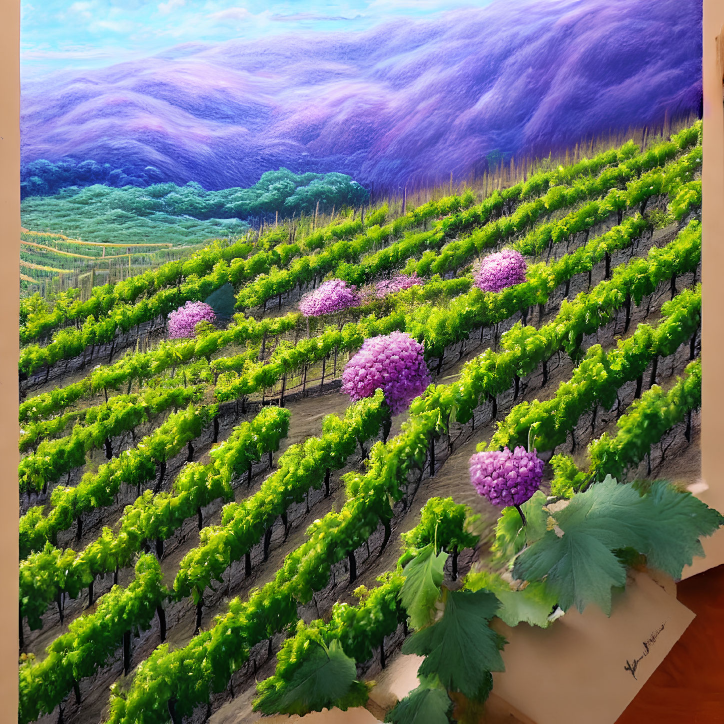 Vivid vineyard scene with grapevines, grapes, and lavender hills