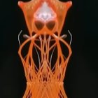 Vivid orange jellyfish with long tentacles in dark background.