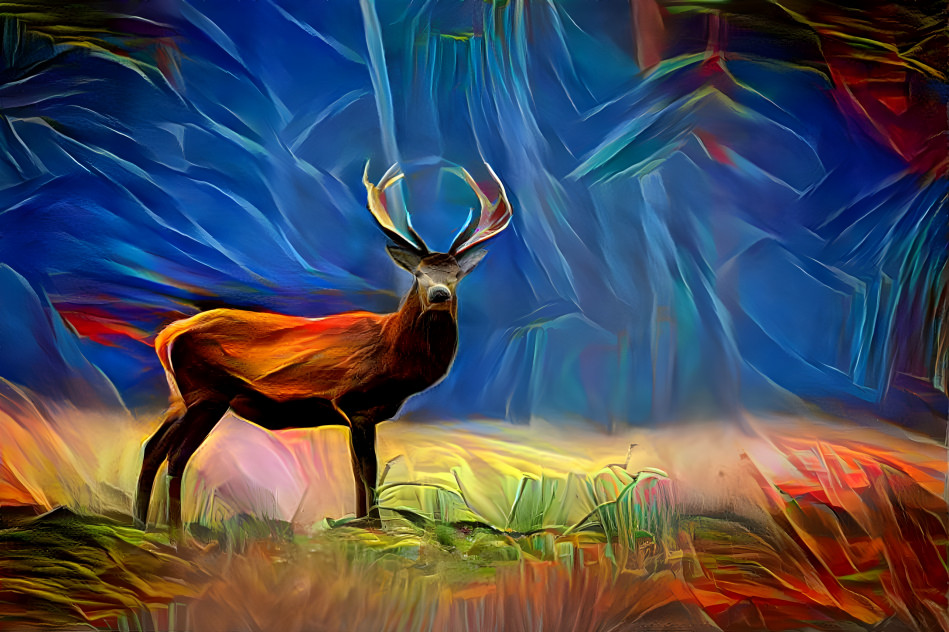 Deer in the Forest