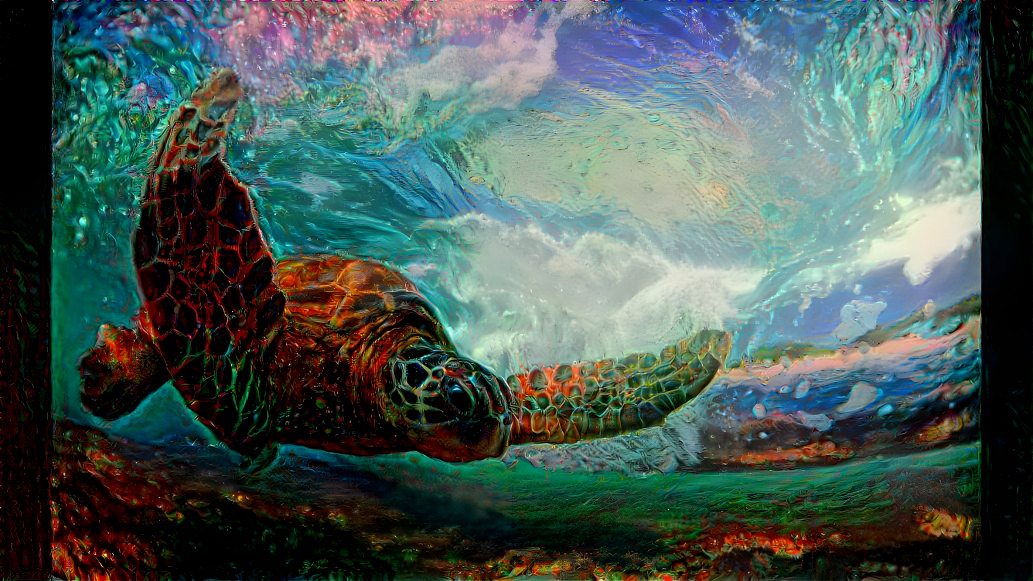 Turtle in the Tide