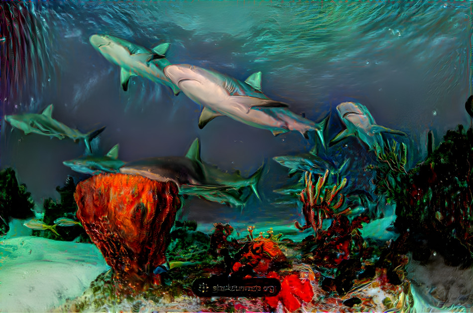 Sharks at the Reef