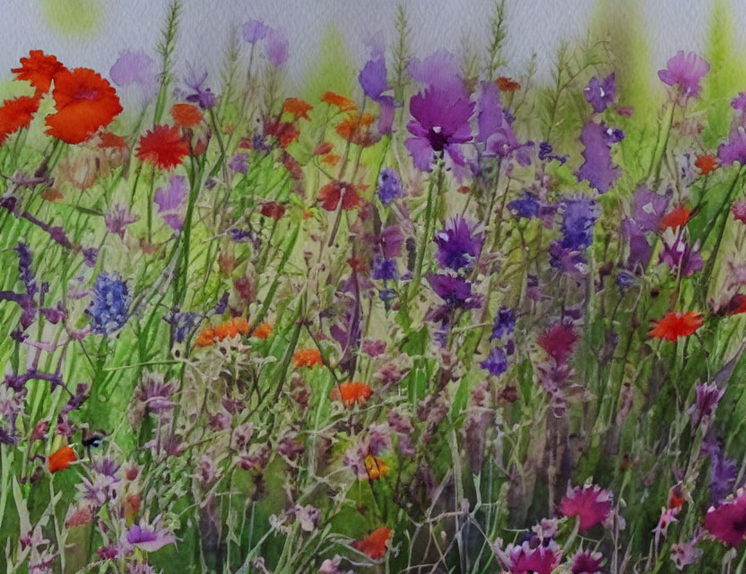 Colorful Watercolor Painting of Diverse Flowers in Red, Purple, and Blue