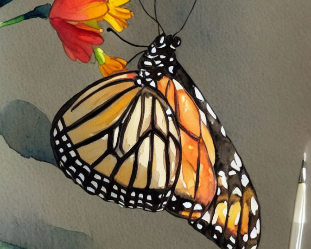 Monarch butterfly watercolor painting on flower stem with orange wings.