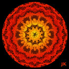 Intricate Orange and Red Mandala Pattern on Dark Background