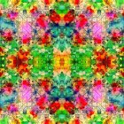 Symmetrical digital artwork with vibrant floral patterns