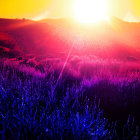 Vibrant sunset over rolling dunes with silhouetted foliage