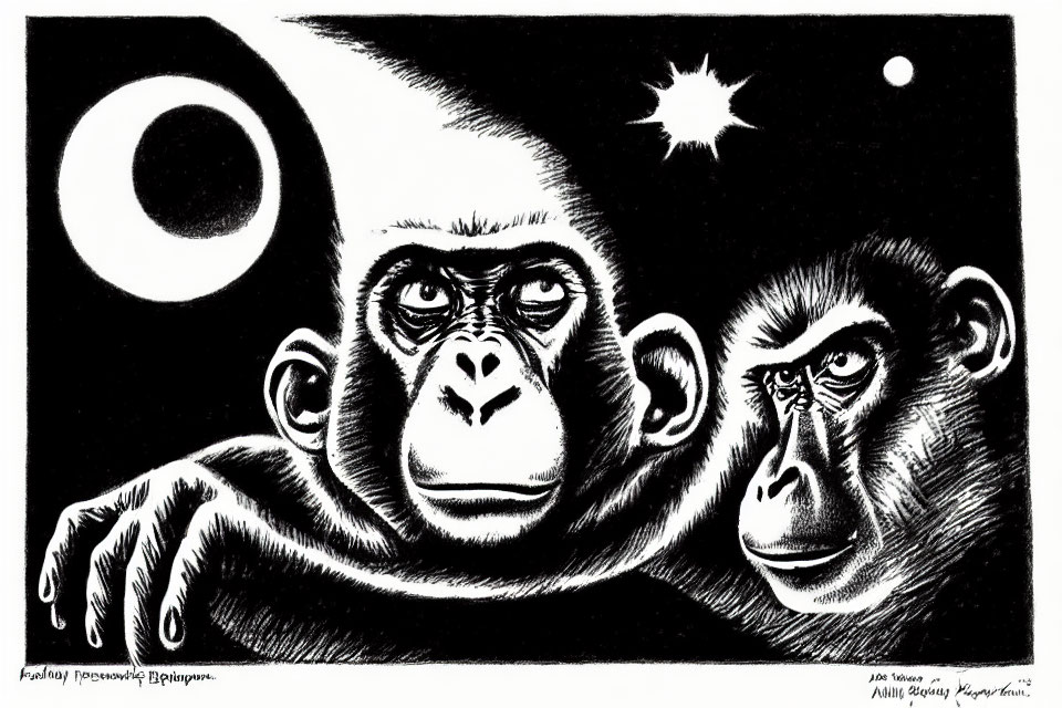 Monochrome primate illustration with star and crescent moon in dark sky