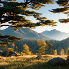 Serene forest scene with autumn trees and mountain backdrop