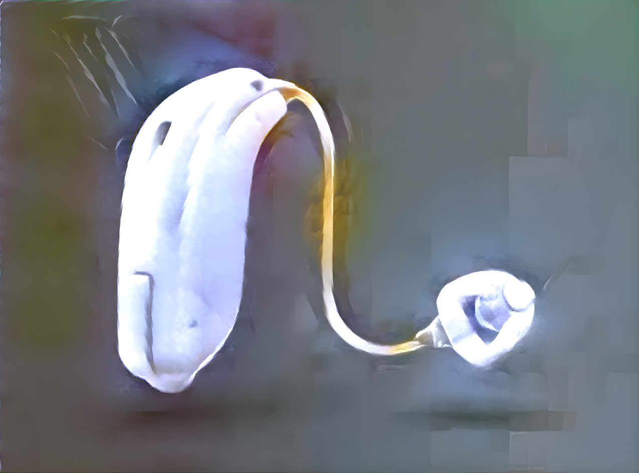 Hearing Aid