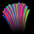 Abstract Fan-Like Structure with Vibrant Iridescent Stripes