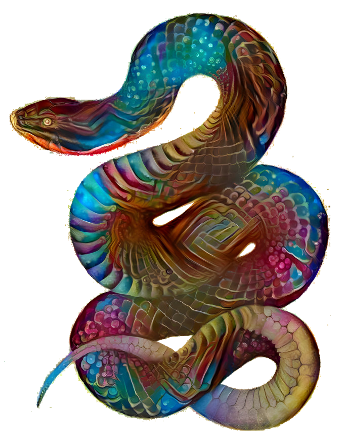 Rainbow Snake