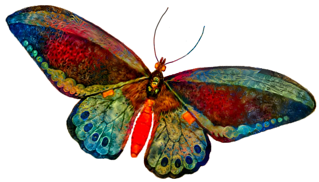 Rainbow Butterfly