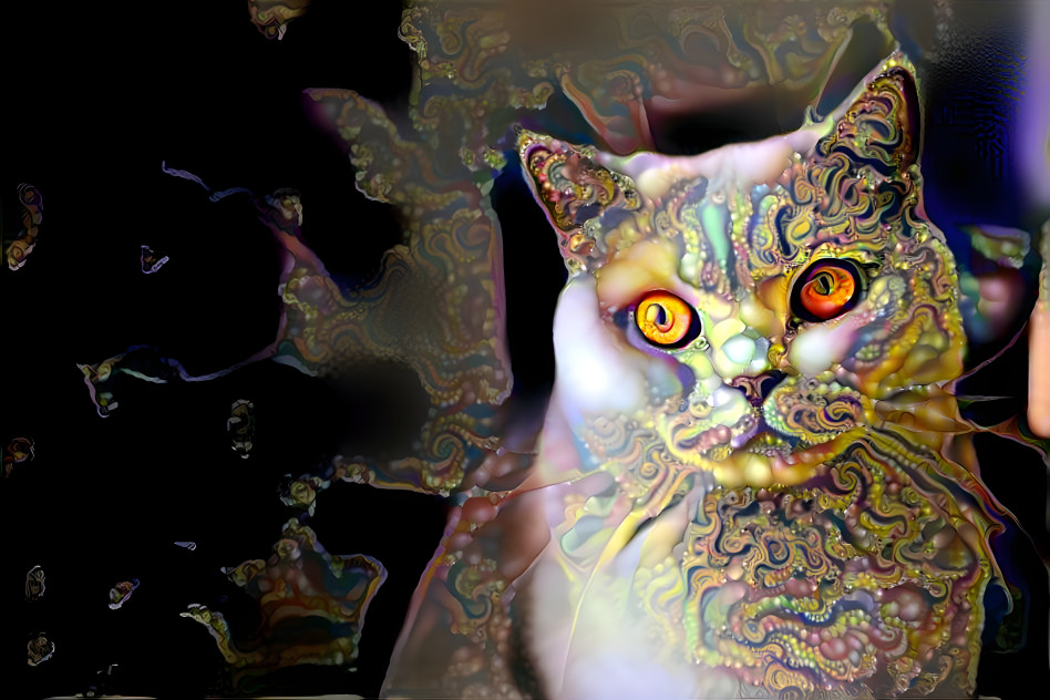 Fractal Cat