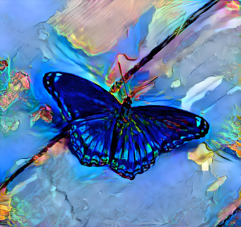 butterfly 