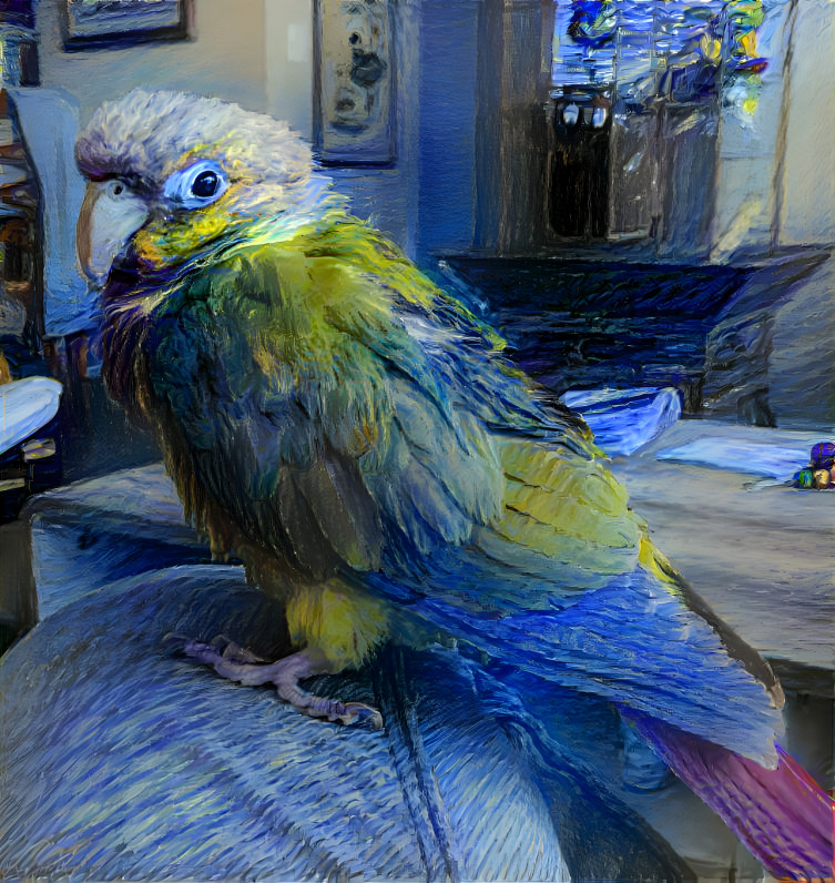 Io The Pineapple Conure as Starry Night