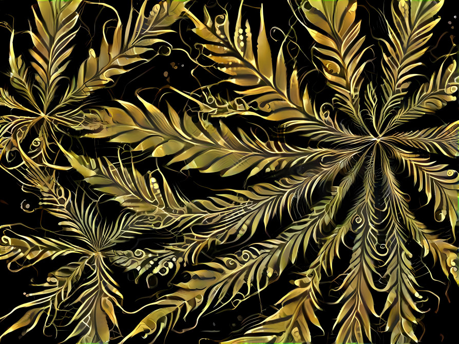 Gold Fern