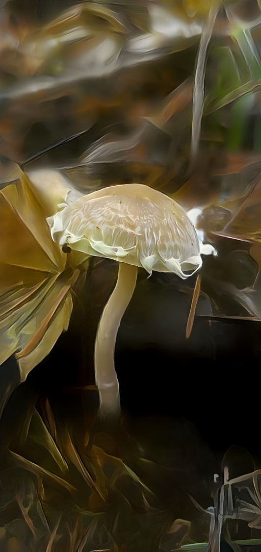 Satin Shroom