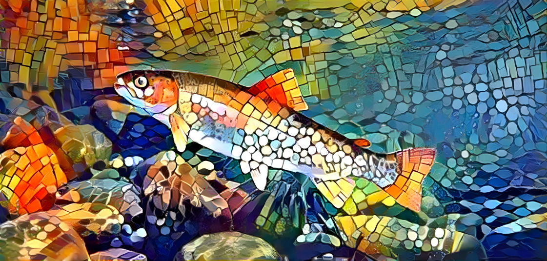 Rainbow trout