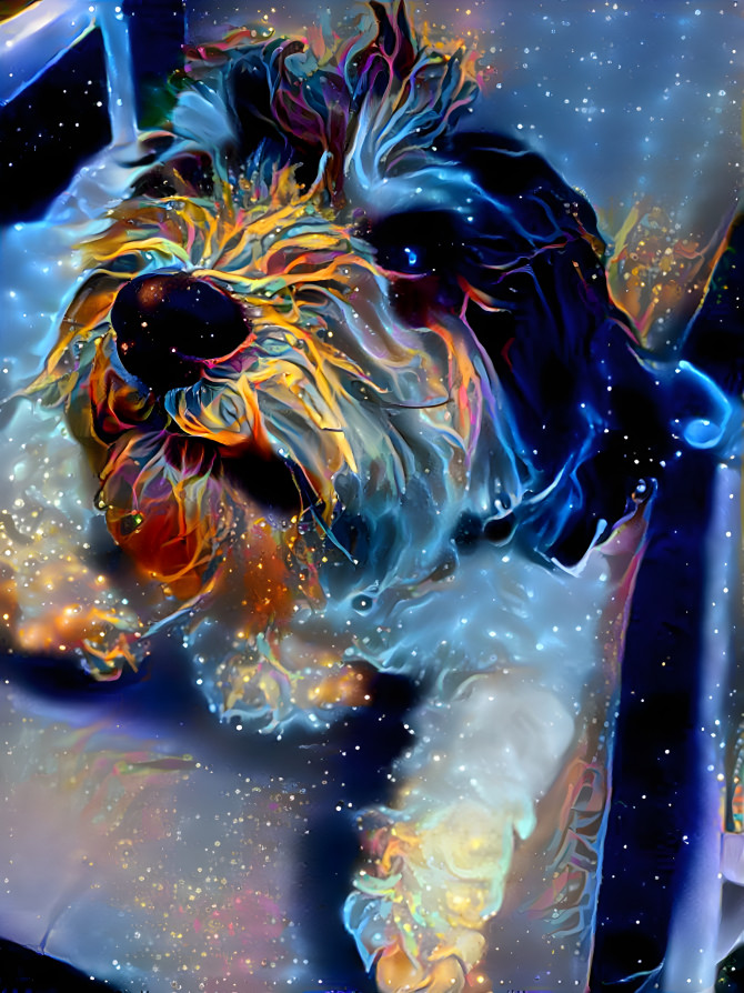 Cosmic Puppy