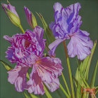 Mauve roses in different bloom stages on green backdrop