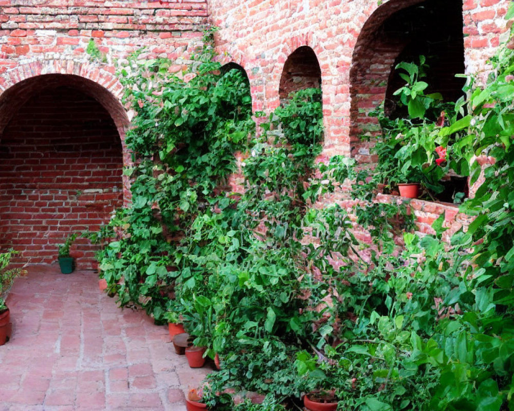 Tranquil brick courtyard with green vines and potted plants