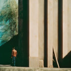 Person navigating urban decay with tall columns and debris under hazy sky