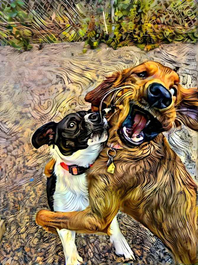 Wild and Crazy Pups