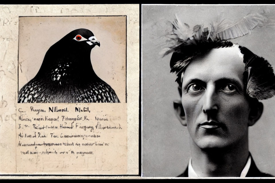 Vintage composite image of a pigeon and man with text on beige background