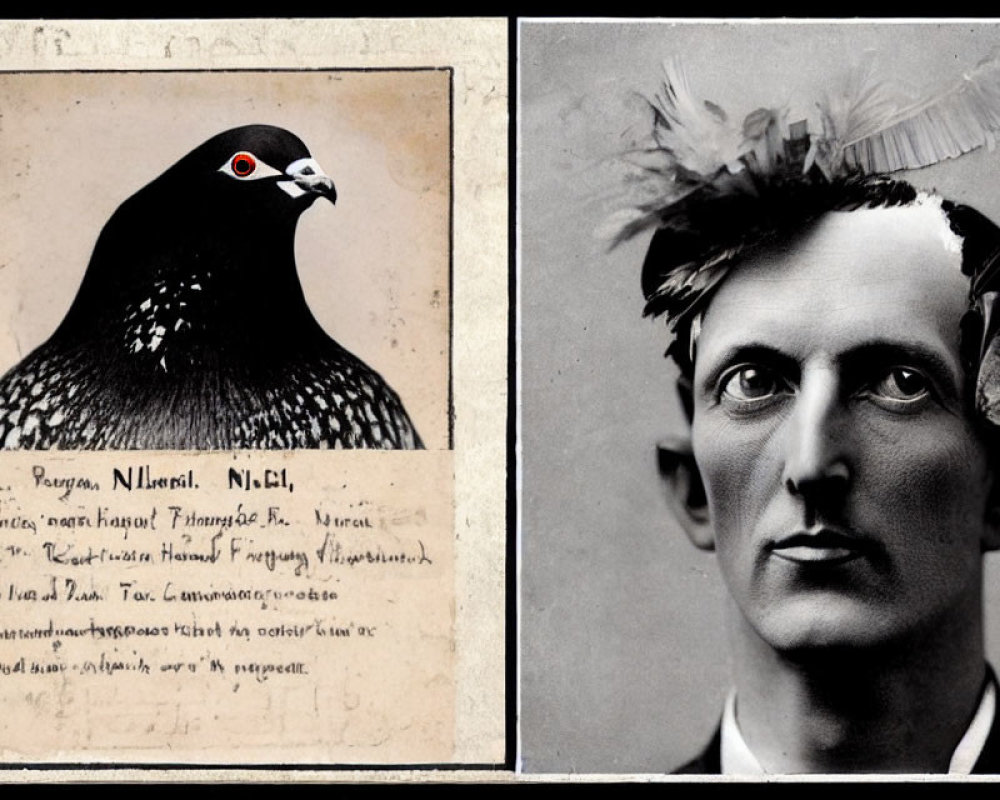 Vintage composite image of a pigeon and man with text on beige background