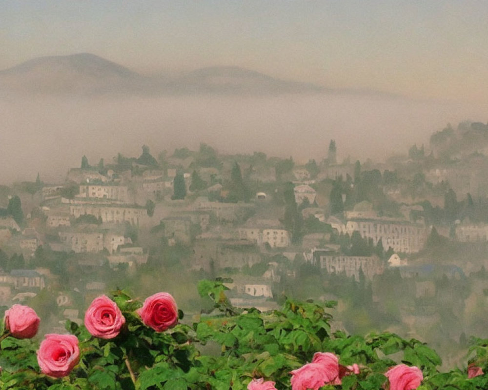 Pink roses and misty hilltop town in scenic landscape.