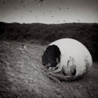 Surreal black and white artwork of spherical object on water