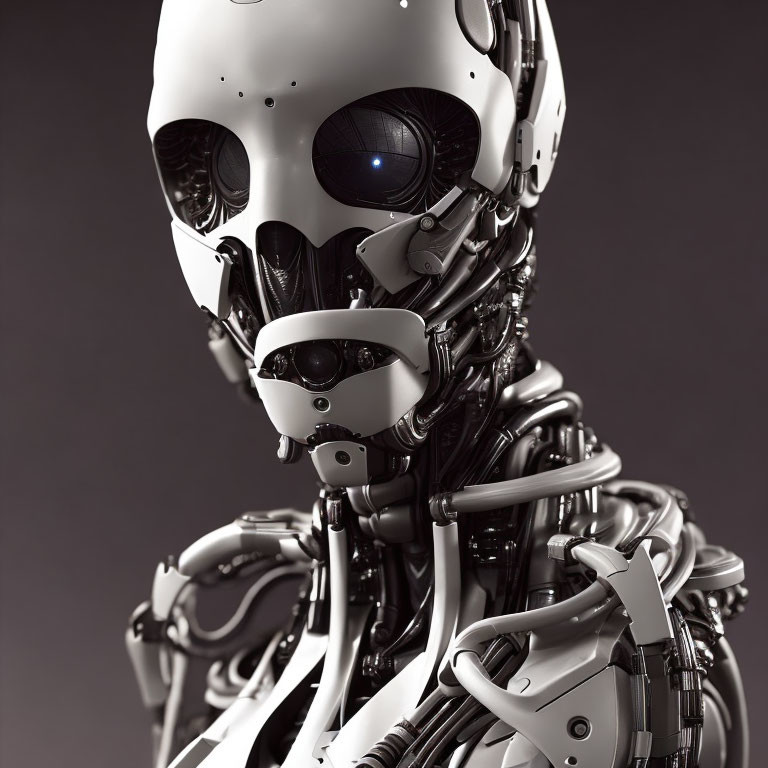 Detailed humanoid skull-faced robot with intricate mechanical parts and cables on plain background