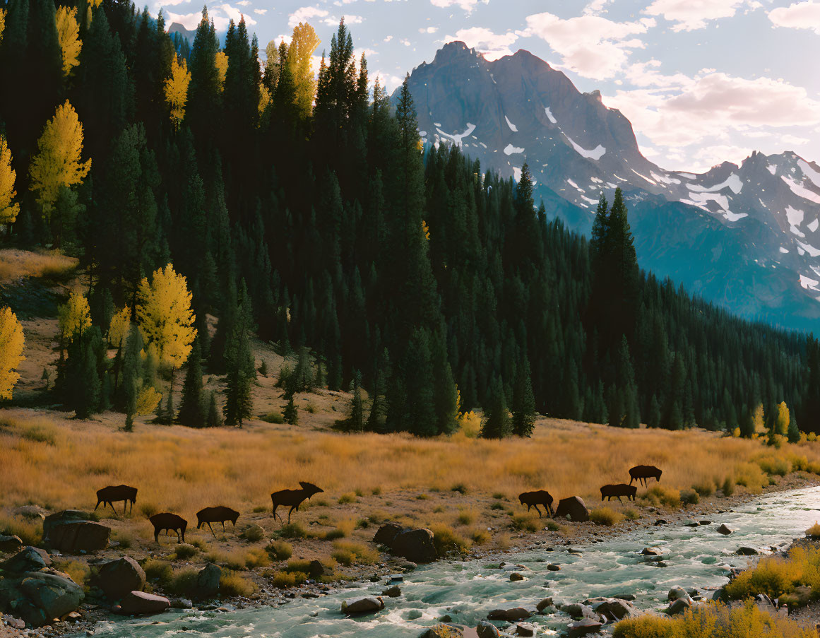 Tranquil landscape with grazing deer by river and autumn forest