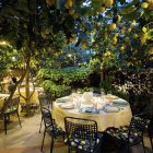 Woman in Lemon Garden Under Sunlit Canopy