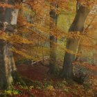 Ethereal autumn forest with mist, orange leaves, and tranquil pond