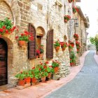 Cobblestone street with blooming flower pots and rustic building façade